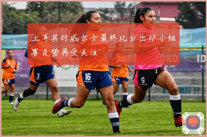 土耳其对威尔士最终比分出炉小组赛走势再受关注